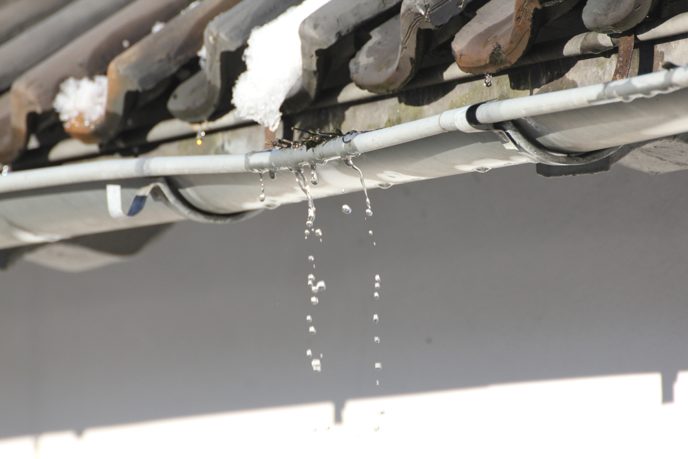 Cleaning Your Gutters Can Save You Thousands